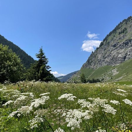 T2 Vue Sur Le Parc De La Vanoise La Plagne Exterior foto