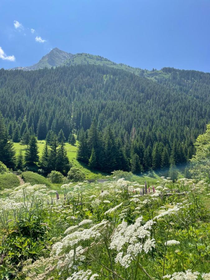 T2 Vue Sur Le Parc De La Vanoise La Plagne Exterior foto
